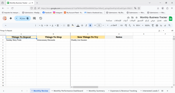 Monthly-Business-Tracker - Image 7